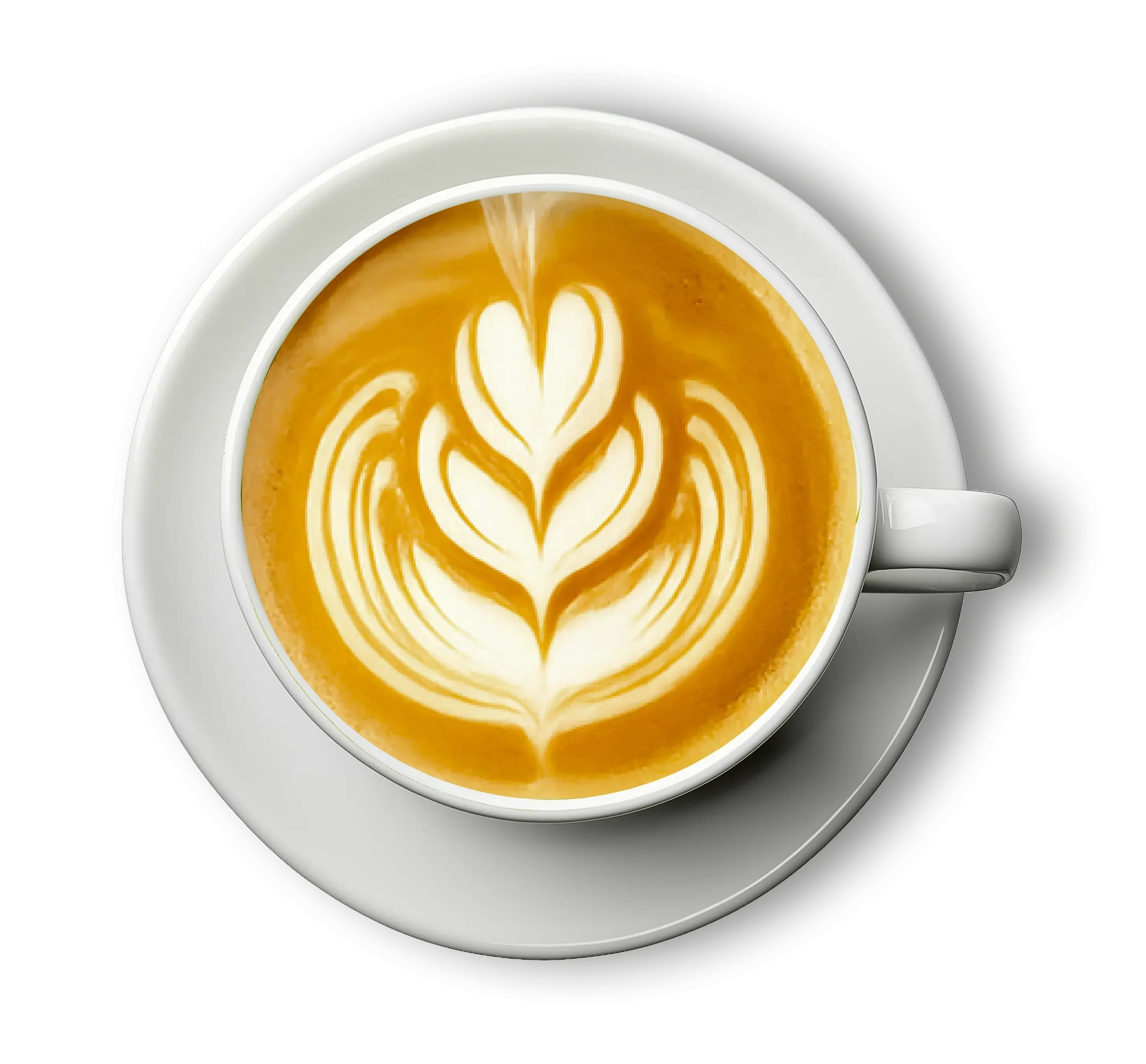 ALCAMI ELEMENTS ESPRESSO - Image 3